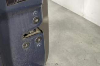 Porte avant gauche RENAULT CLIO 3