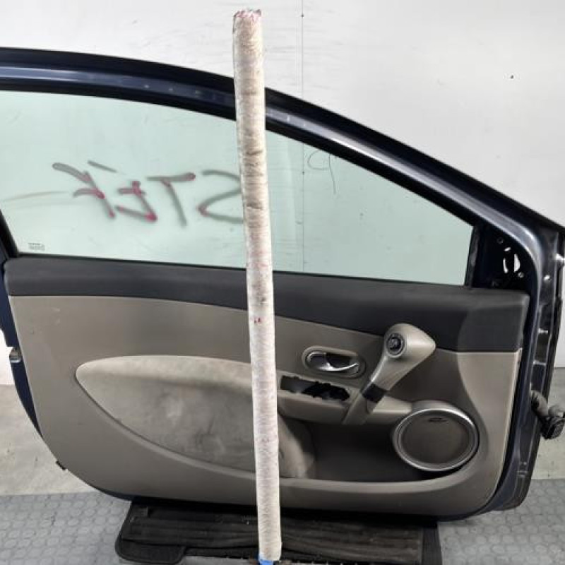 Porte avant gauche RENAULT CLIO 3 Photo n°6