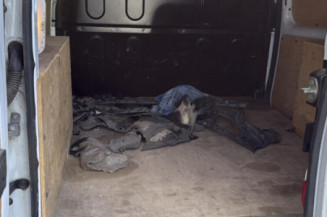 RENAULT KANGOO 2 PHASE 2 1.5 DCI - 8V TURBO