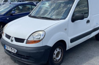 Porte avant gauche RENAULT KANGOO 1