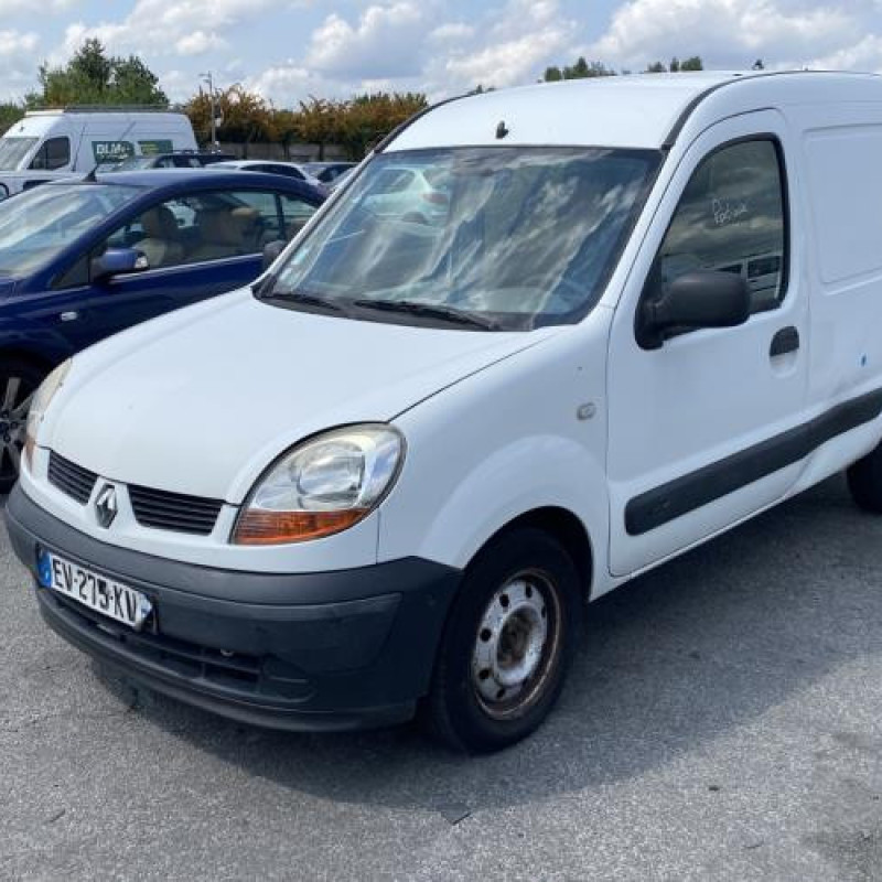 Porte avant gauche RENAULT KANGOO 1 Photo n°7