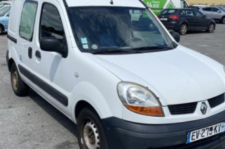 Porte avant gauche RENAULT KANGOO 1