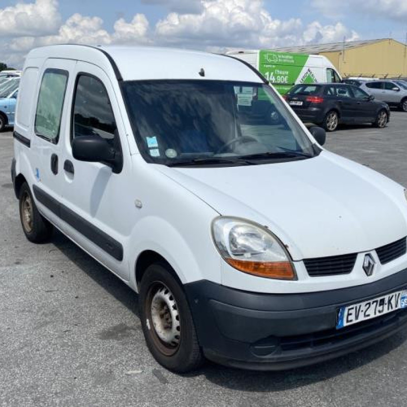 Porte avant gauche RENAULT KANGOO 1 Photo n°8