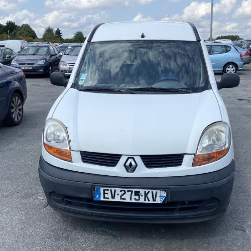 Porte avant gauche RENAULT KANGOO 1 Photo n°12