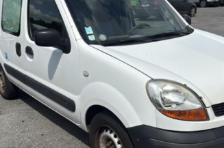 Porte avant gauche RENAULT KANGOO 1