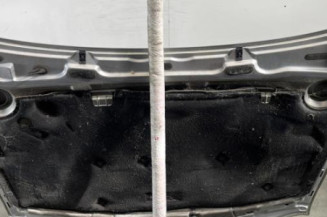 Capot VOLKSWAGEN GOLF 4