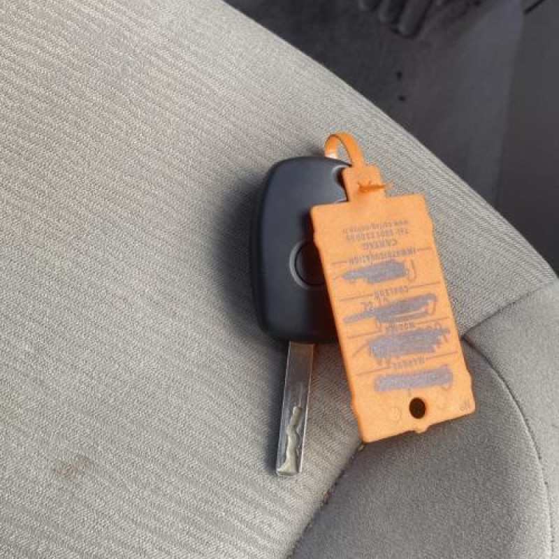 Custode arriere gauche RENAULT CLIO 3 Photo n°15