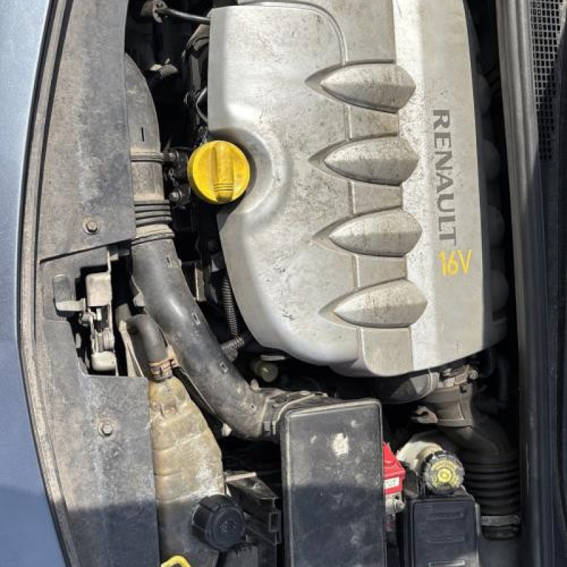 Custode arriere gauche RENAULT CLIO 3 Photo n°19