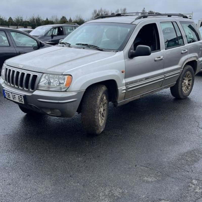Porte arriere droit JEEP GRAND CHEROKEE 1 Photo n°8