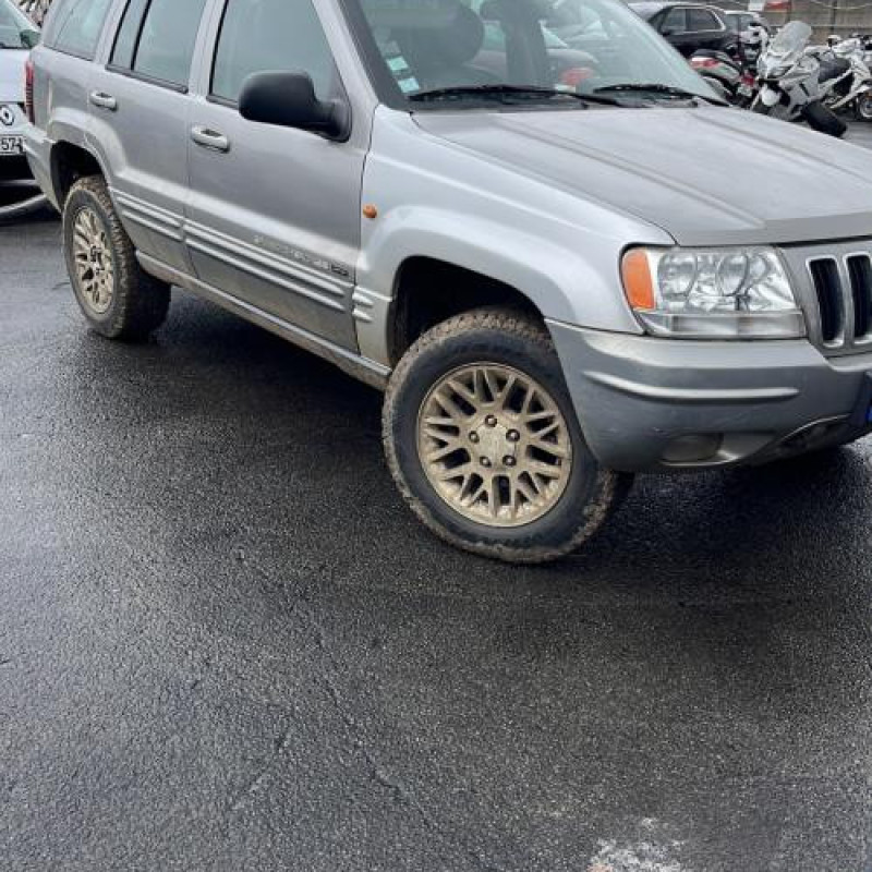 Porte arriere droit JEEP GRAND CHEROKEE 1 Photo n°9