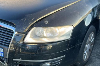 Porte arriere gauche AUDI A6 3