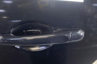 Porte arriere gauche RENAULT SCENIC 3