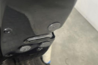 Porte arriere gauche RENAULT SCENIC 3