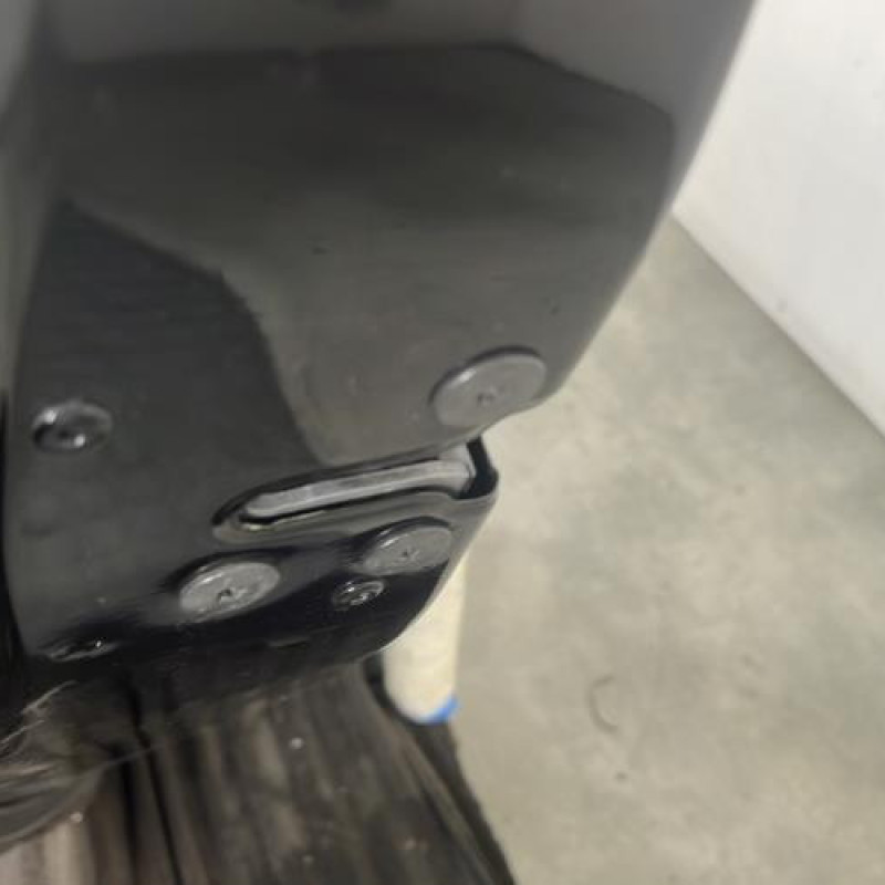 Porte arriere gauche RENAULT SCENIC 3 Photo n°3