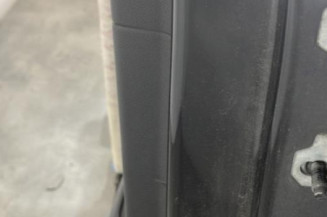 Porte arriere gauche RENAULT SCENIC 3