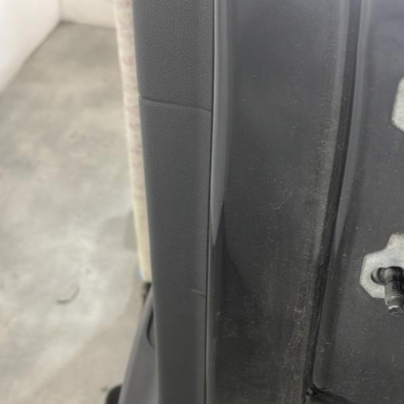 Porte arriere gauche RENAULT SCENIC 3 Photo n°4