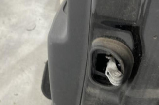 Porte arriere gauche RENAULT SCENIC 3