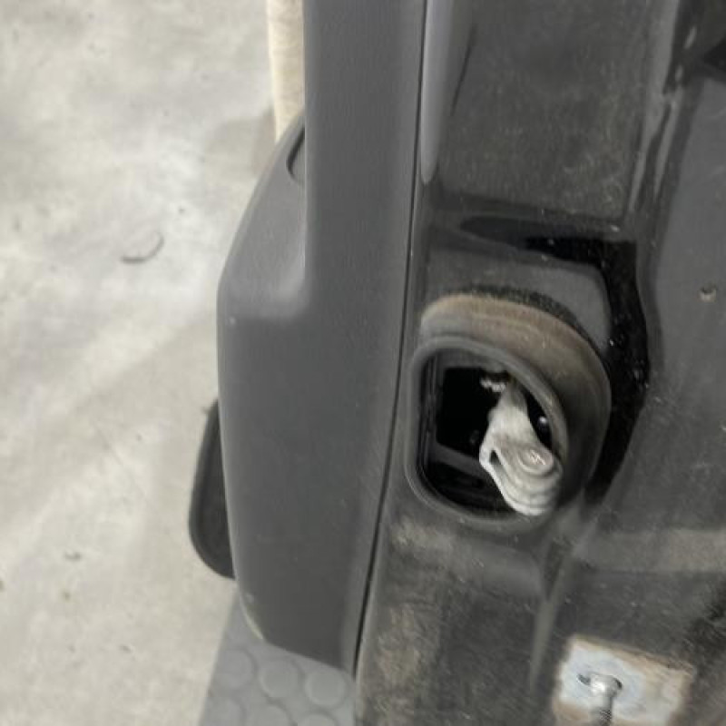 Porte arriere gauche RENAULT SCENIC 3 Photo n°5