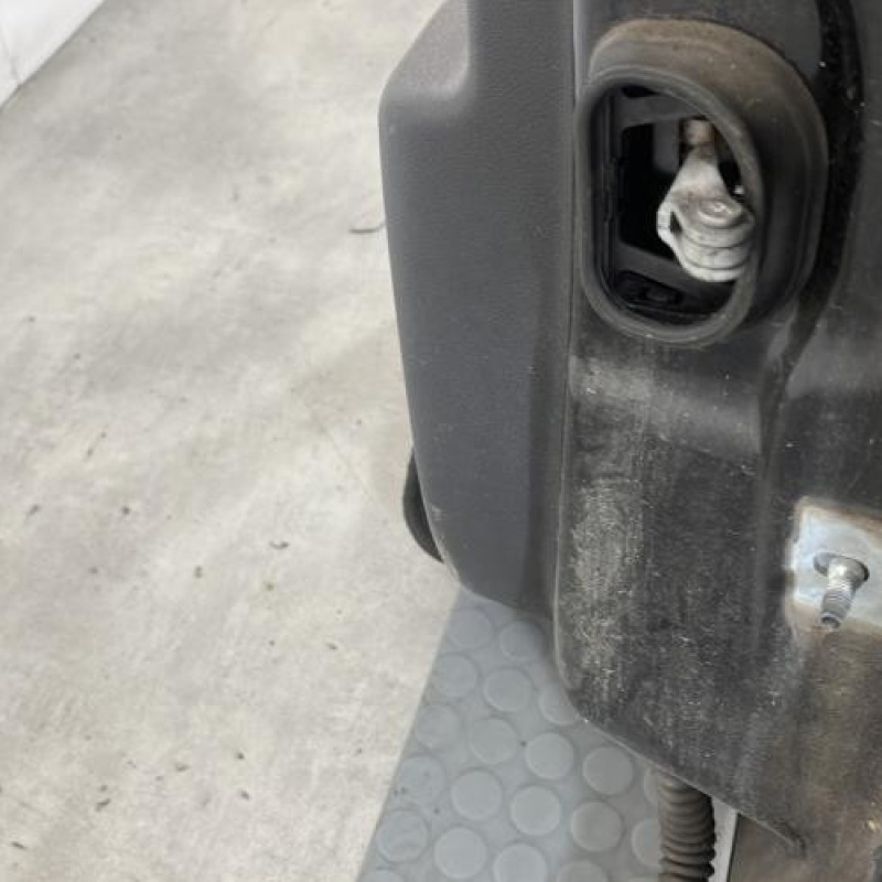 Porte arriere gauche RENAULT SCENIC 3 Photo n°6