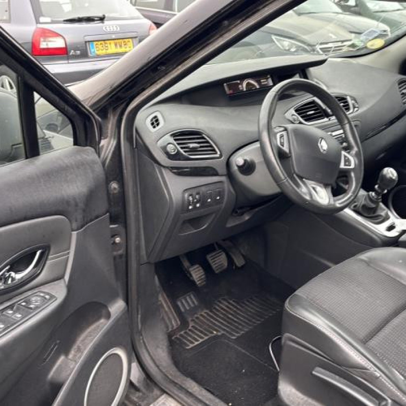 Porte arriere gauche RENAULT SCENIC 3 Photo n°15