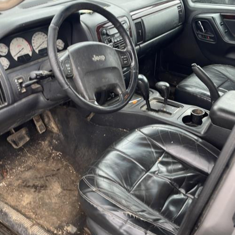 Porte arriere gauche JEEP GRAND CHEROKEE 1 Photo n°11