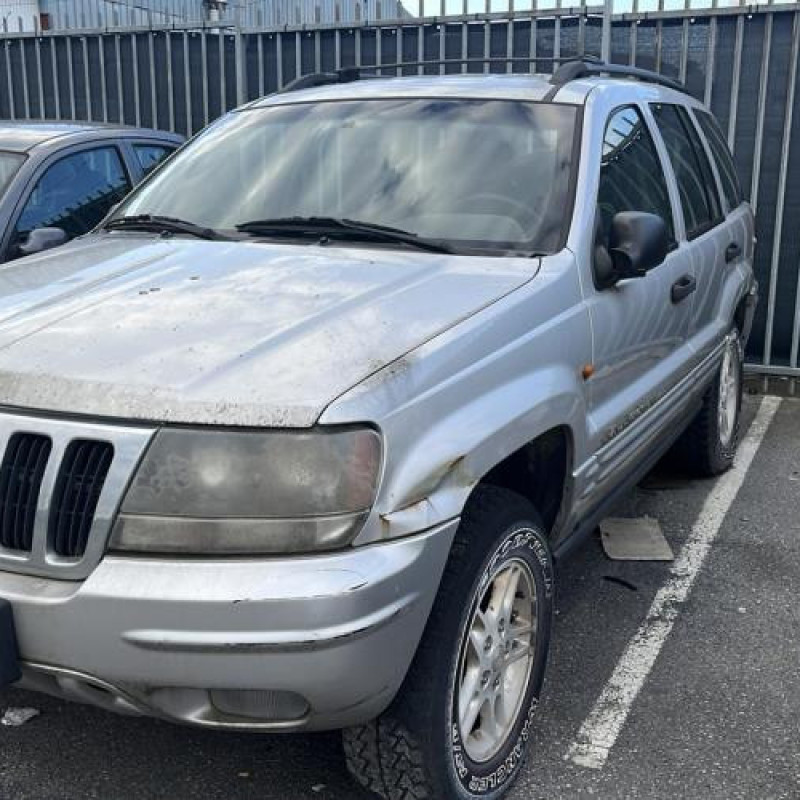 Porte arriere droit JEEP GRAND CHEROKEE 1 Photo n°9