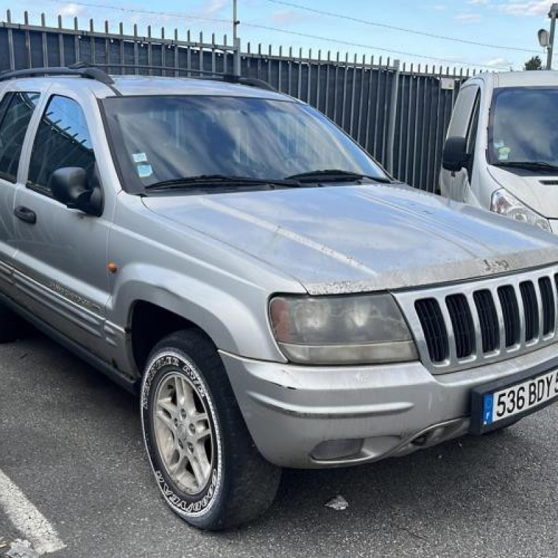 Porte arriere droit JEEP GRAND CHEROKEE 1 Photo n°11