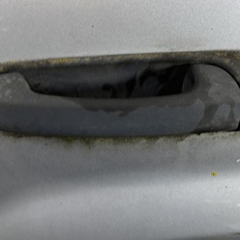 Porte arriere gauche JEEP GRAND CHEROKEE 1 Photo n°2