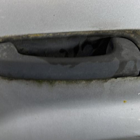 Porte arriere gauche JEEP GRAND CHEROKEE 1