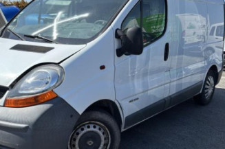 Vitre porte coffre droit RENAULT TRAFIC 2