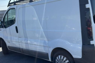 Vitre porte coffre droit RENAULT TRAFIC 2