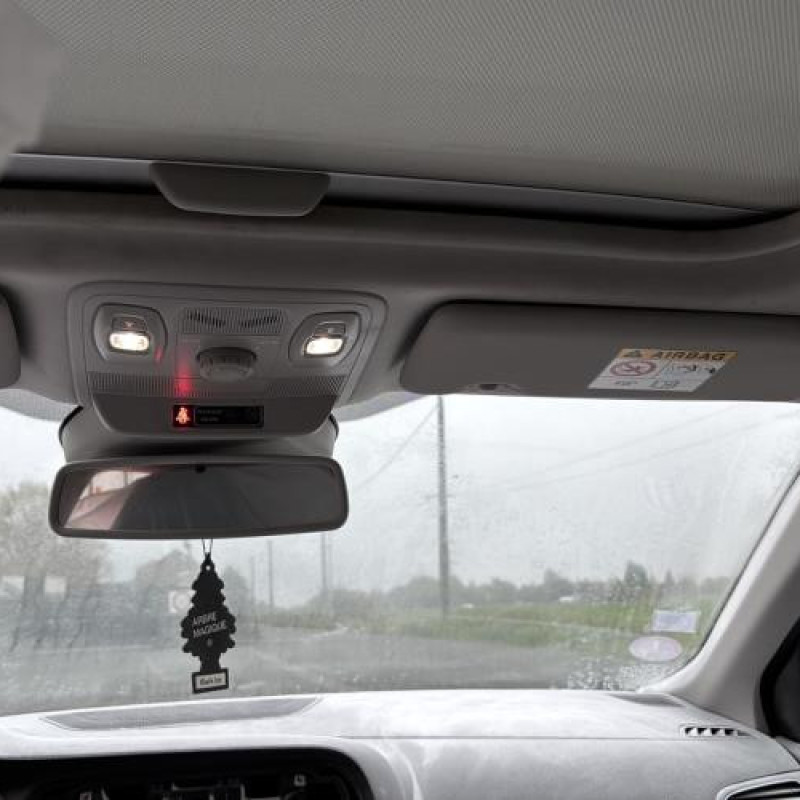 Vitre arriere gauche RENAULT MEGANE 4 Photo n°17