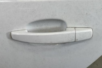 Porte arriere gauche OPEL ASTRA H