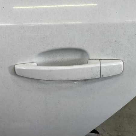 Porte arriere gauche OPEL ASTRA H