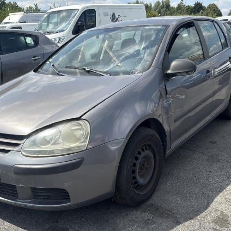 Porte avant droit VOLKSWAGEN GOLF 5 Photo n°6