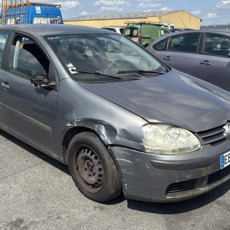 Porte avant droit VOLKSWAGEN GOLF 5 Photo n°7