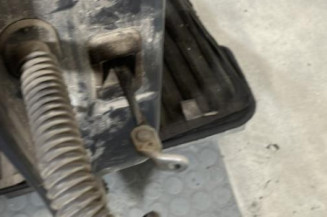 Porte arriere droit DACIA SANDERO 1