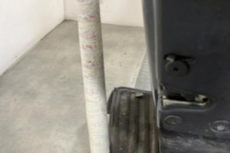Porte arriere droit DACIA SANDERO 1