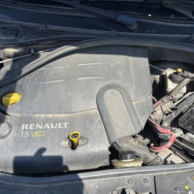 Porte arriere droit DACIA SANDERO 1 Photo n°17