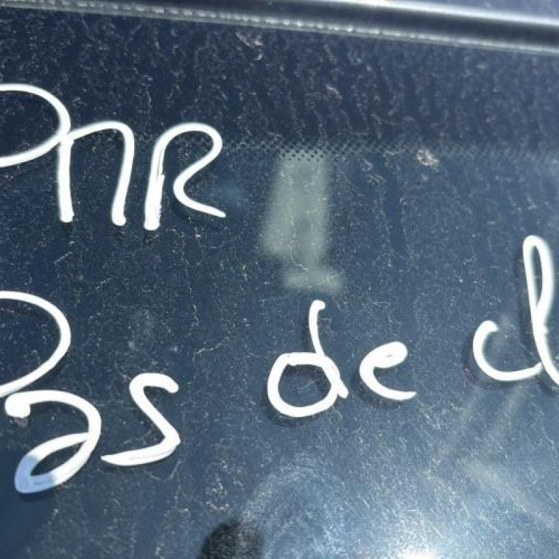 Porte arriere droit DACIA SANDERO 1 Photo n°19