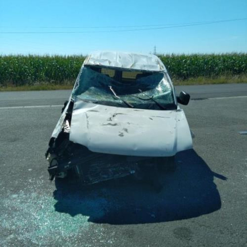 Porte de coffre droit VOLKSWAGEN CADDY 3 Photo n°12