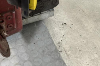 Porte avant droit RENAULT CLIO 2