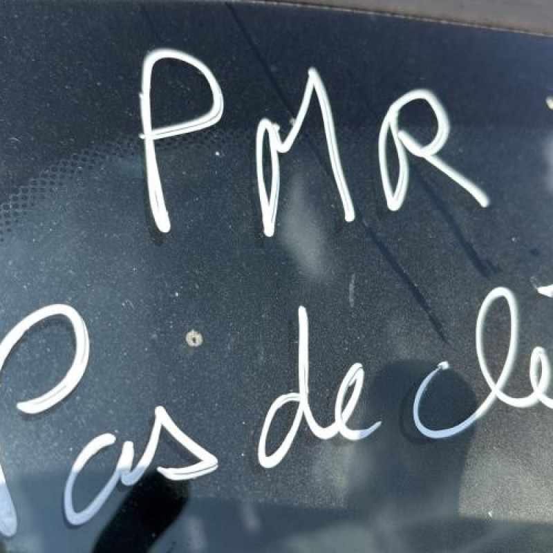 Porte avant droit RENAULT CLIO 2 Photo n°15