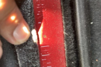 Porte avant droit RENAULT CLIO 2