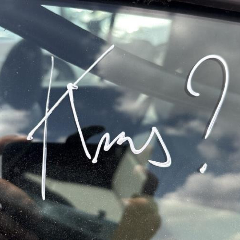 Porte avant droit RENAULT CLIO 2 Photo n°18