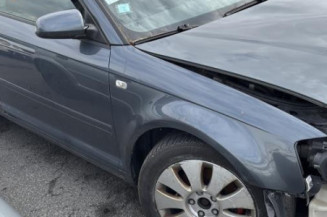 Porte avant gauche AUDI A3 2