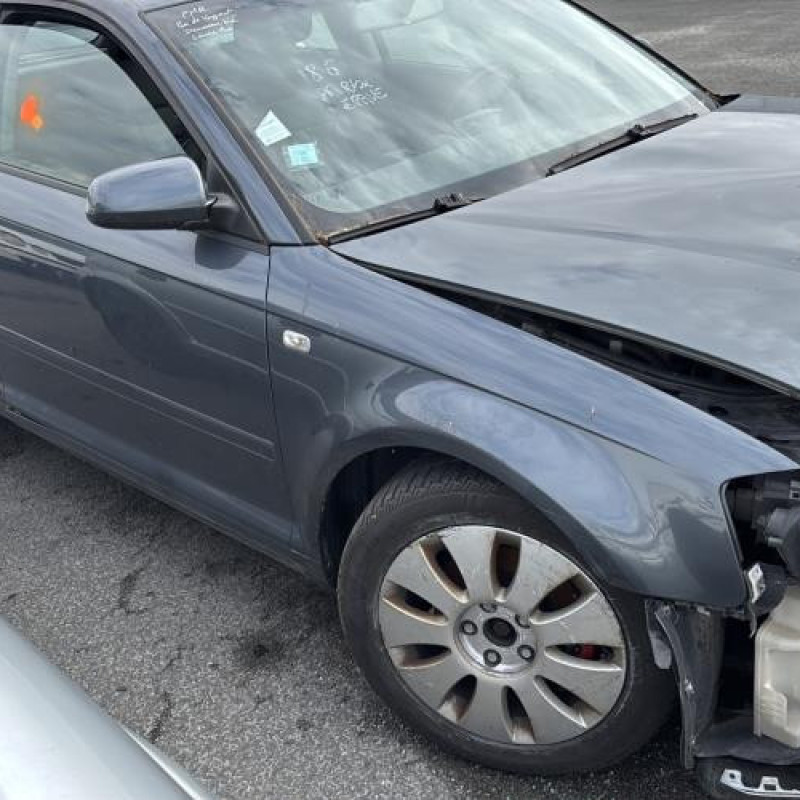 Porte avant gauche AUDI A3 2 Photo n°13