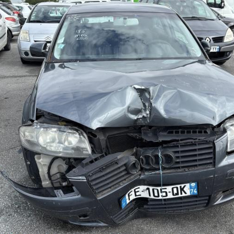 Porte avant gauche AUDI A3 2 Photo n°14