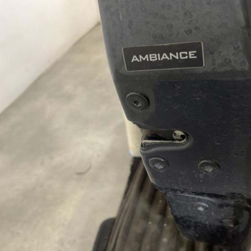 Porte avant droit DACIA SANDERO 1 Photo n°3