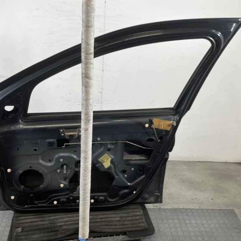 Porte avant droit DACIA SANDERO 1 Photo n°6